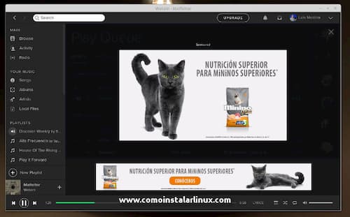 Cómo hacer publicidad en Spotify