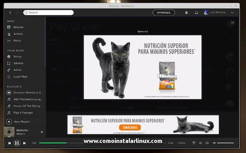 publicidad en Spotify